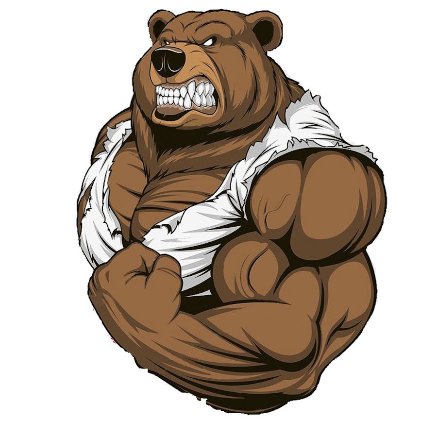 Мудрый медведь. Медведь качок. Злой медведь. Медведь спортсмен. Накаченный медведь.