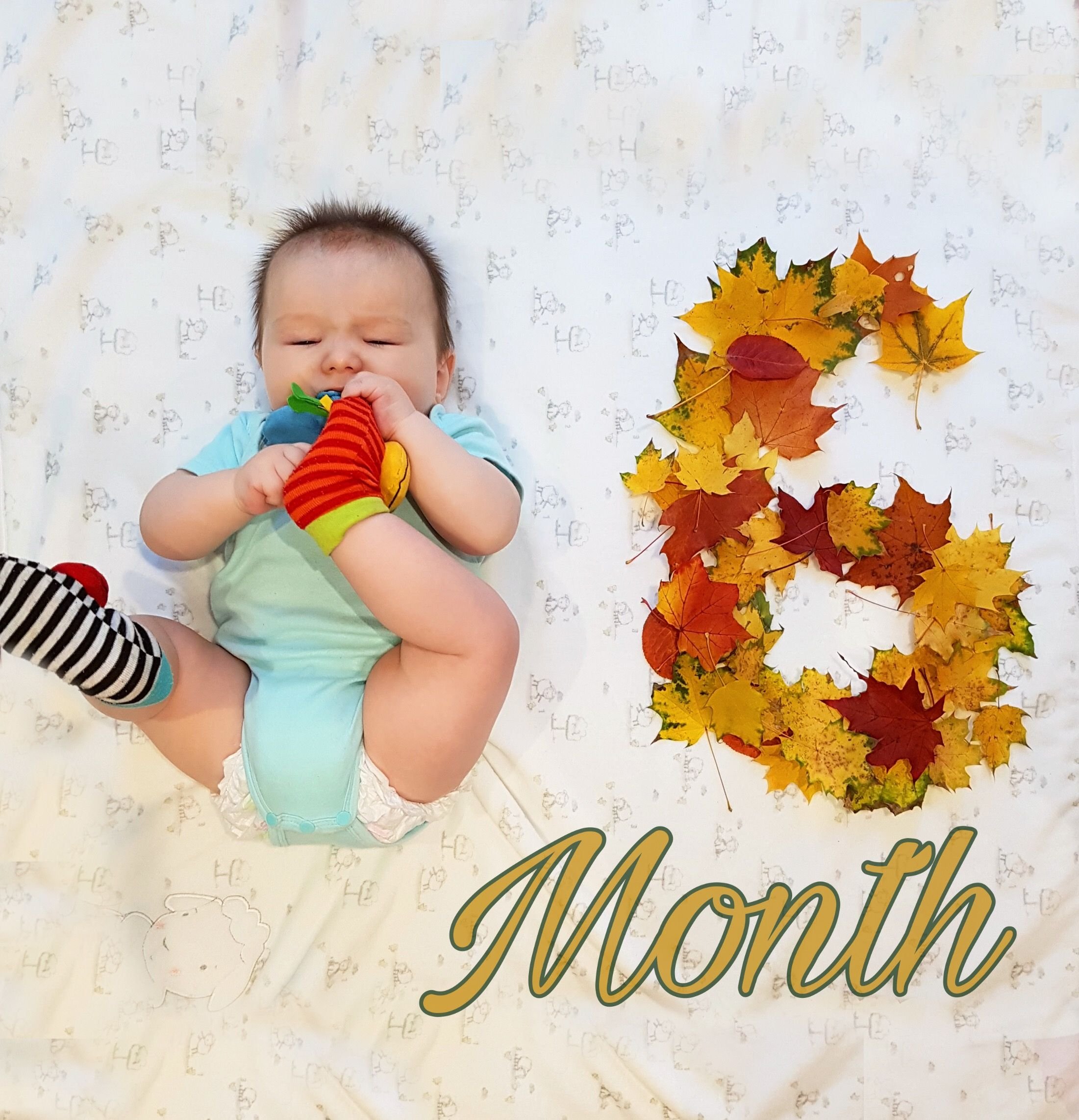 1 6 месяцев мальчику