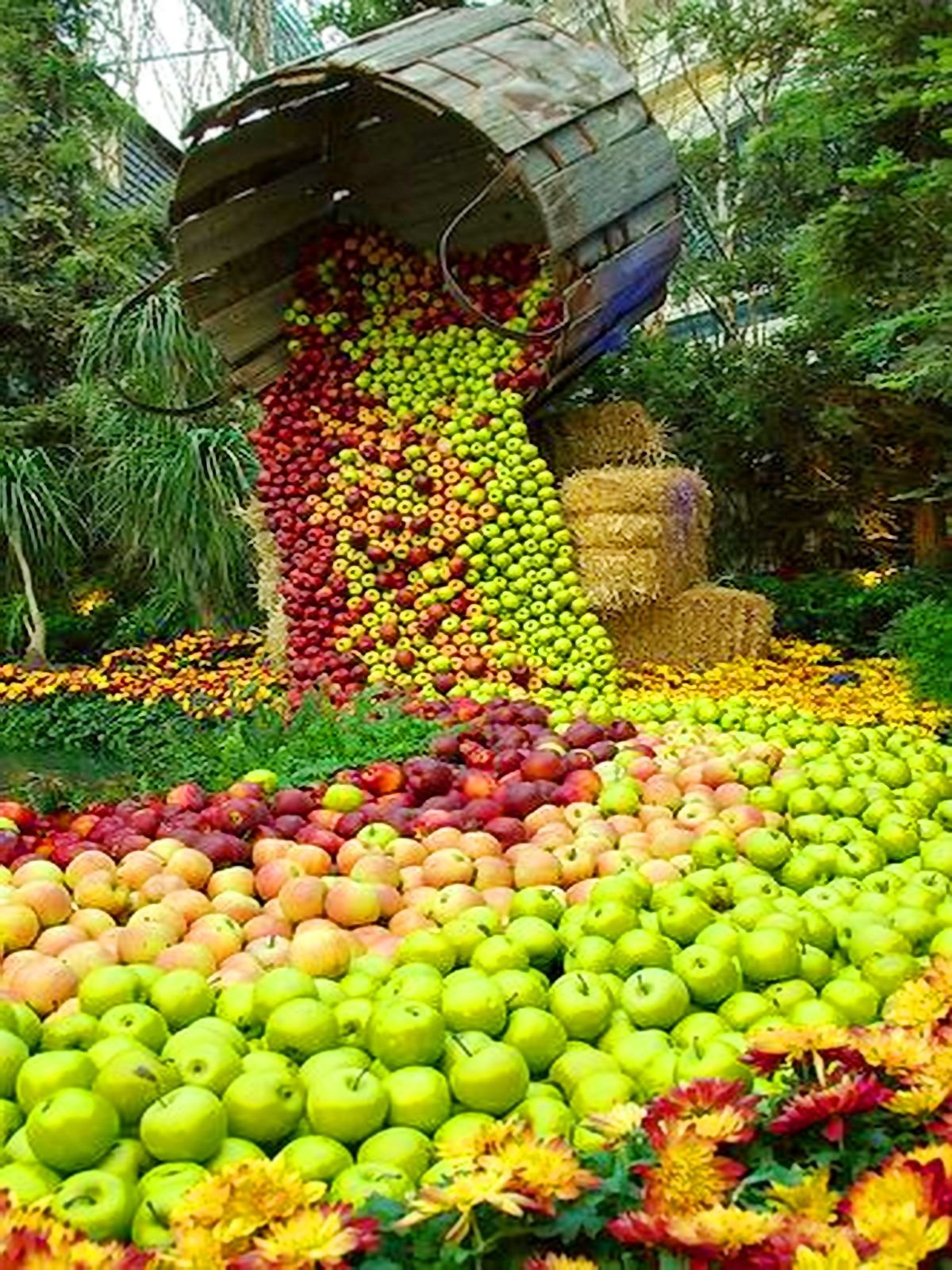 Урожай фруктов. Сад с фруктами. Огромный сад с фруктами. Жатва фрукты.