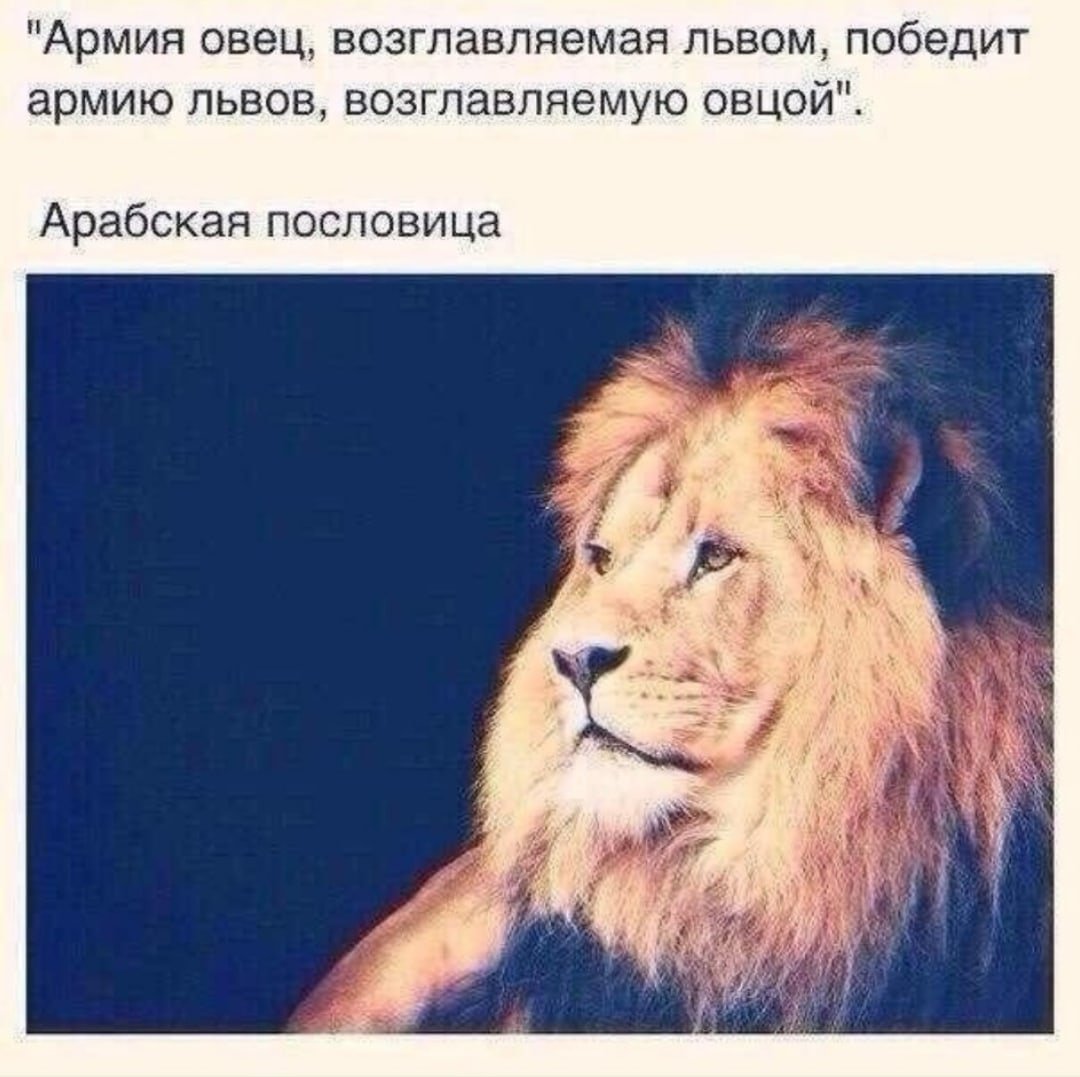 Цитаты про Львов