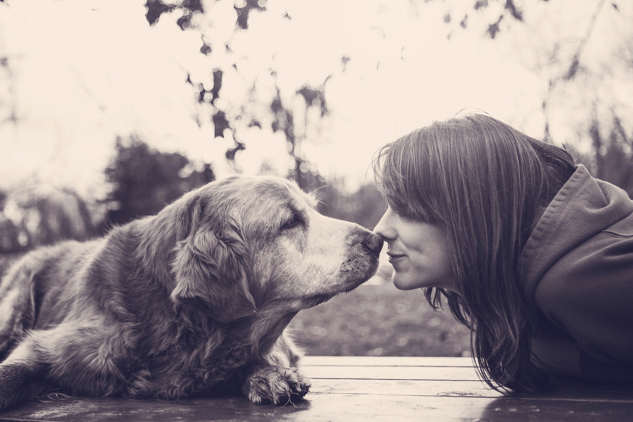Картинка девушки с собакой. Девушка с собакой. Девушка с собакой фотосессия. Собака друг человека. Девушка с собакой друзья.
