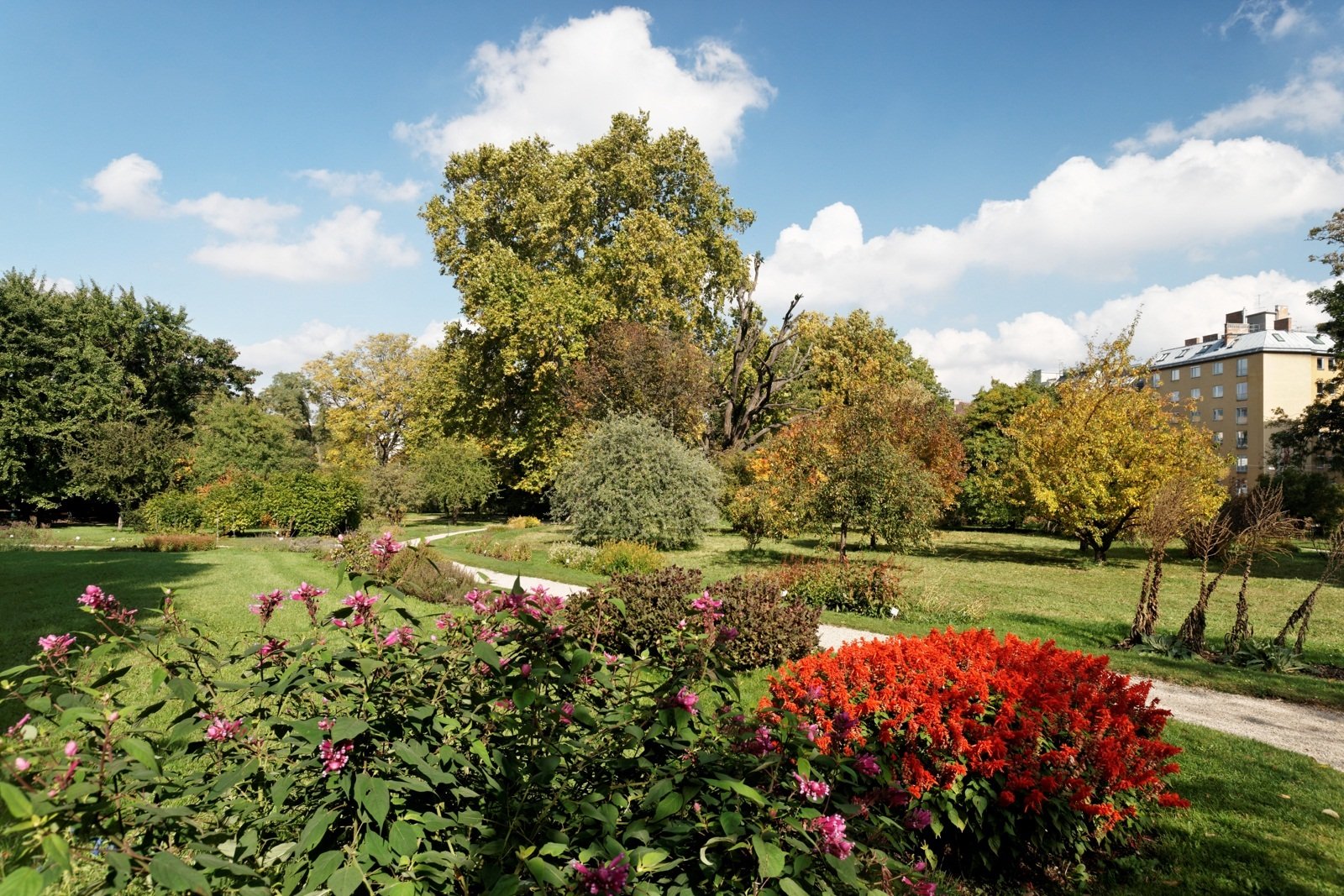 Ботанический сад Клайпедского университета