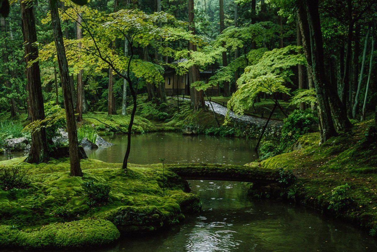 Сад мхов Сайходзи в Киото