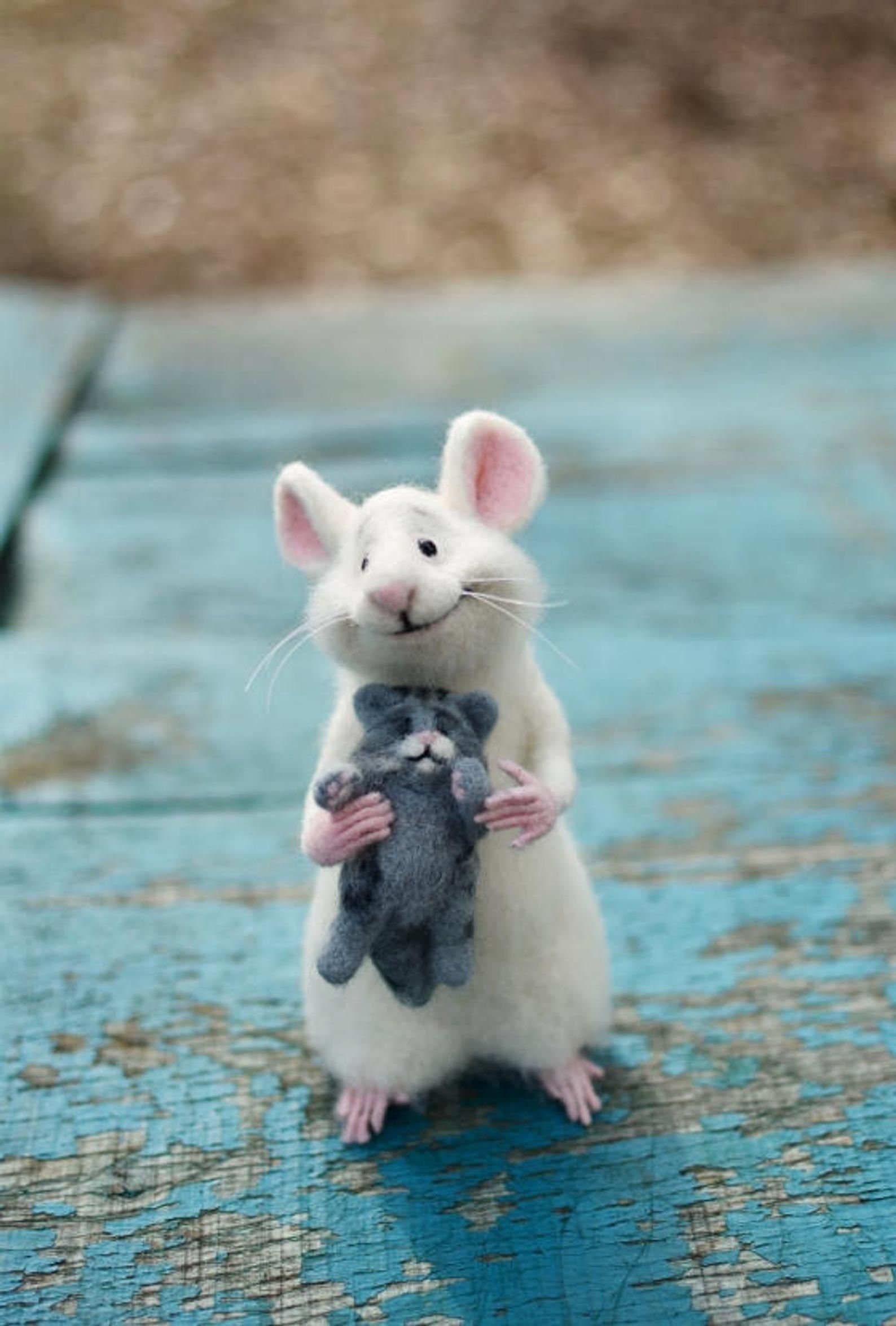 Милая мышь. Мышка. Милые мышки. Милые мышата. Мышонок.