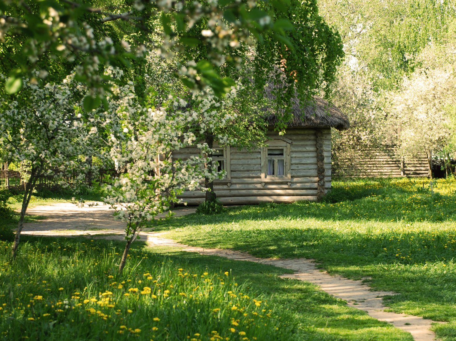 Природа летом в деревне. Парк Околица Томск. Деревенский домик. Природа деревня. Сельский пейзаж.