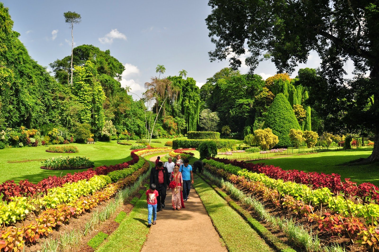 Шри Ланка Ботанический сад Канди