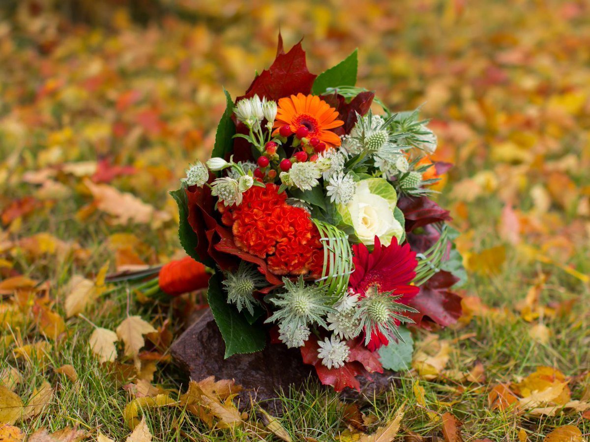 Осень букет роз. Осенние цветы. Букет "осень". Осенний букет цветов. Шикарный осенний букет.