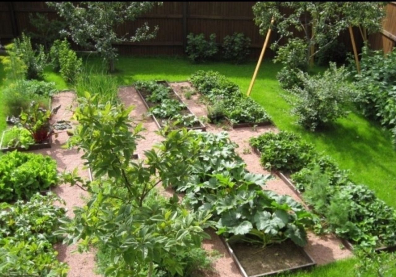 Планируем садовый участок. Декоративный огород. Планировка сада и огорода. Идеи для дачного участка. Распланировать огород.