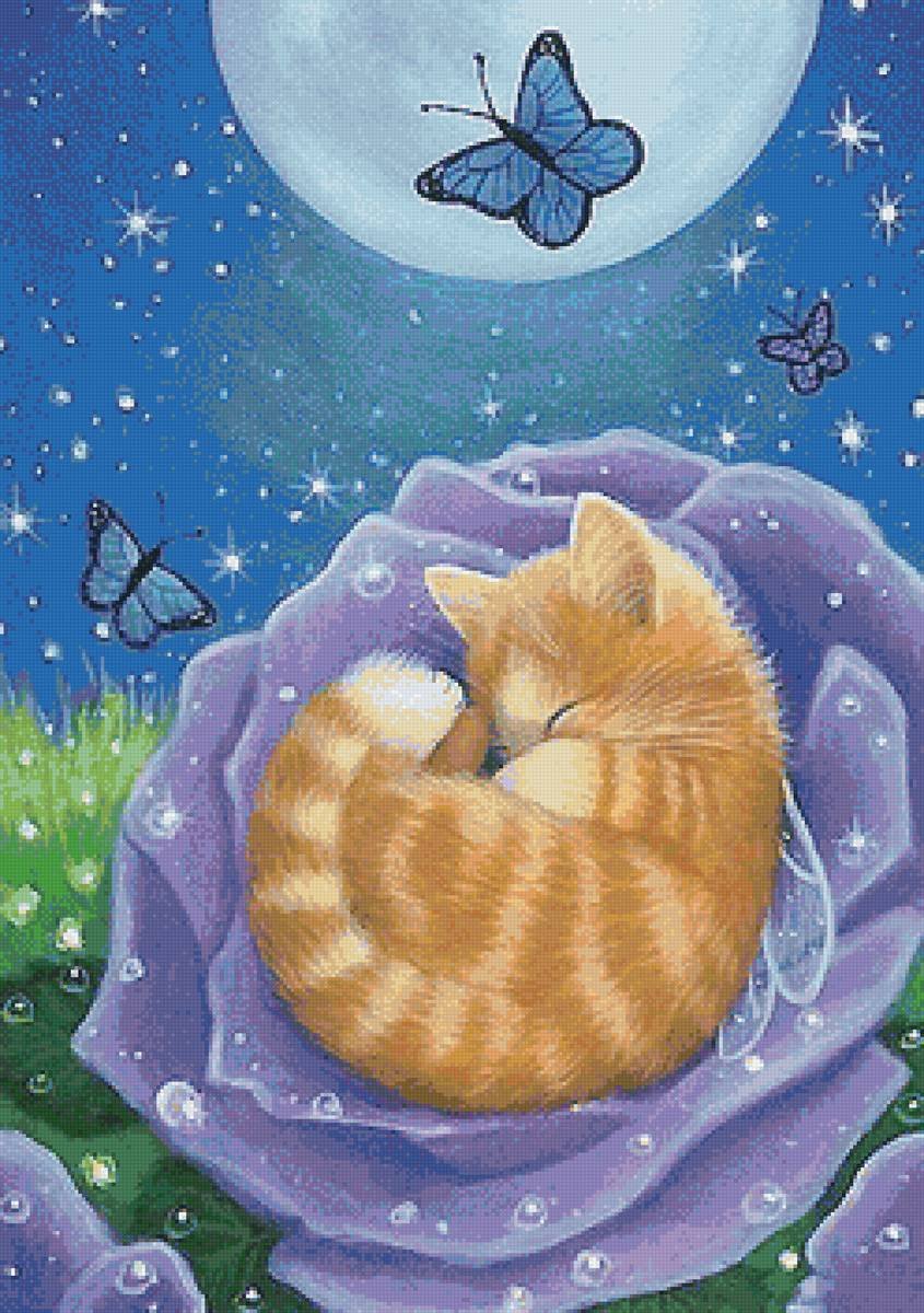 Картинки сладких снов с котами