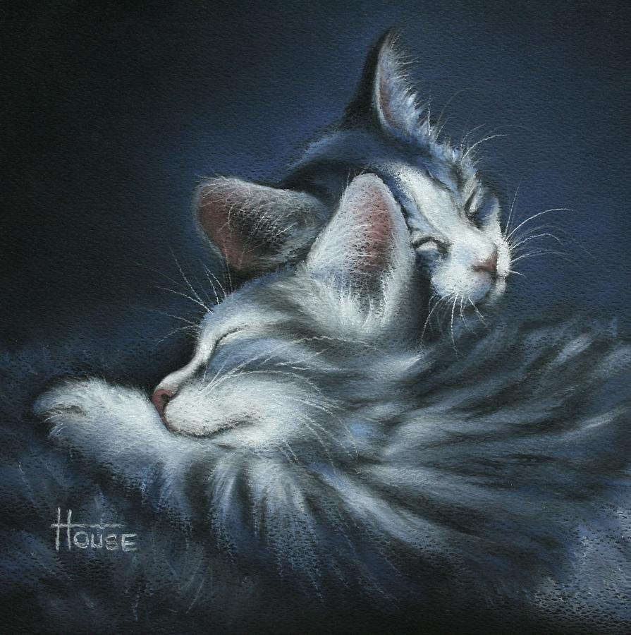 Картинки сладких снов с котами