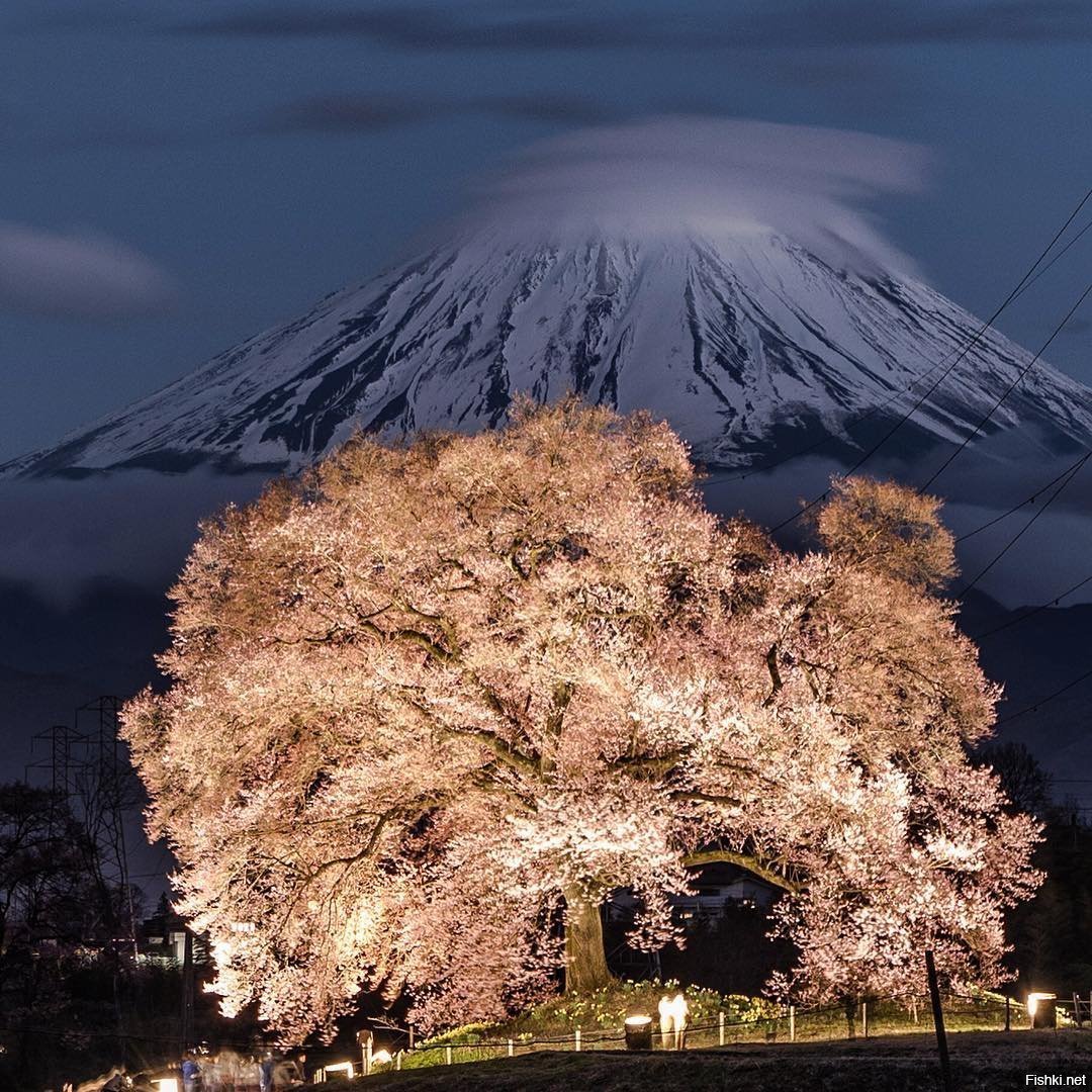 Фудзияма каталог. Гора Фудзияма в Японии. Киото Фудзияма Хиросима. Символ Японии - гора Фудзияма.. Вулкан в Токио.