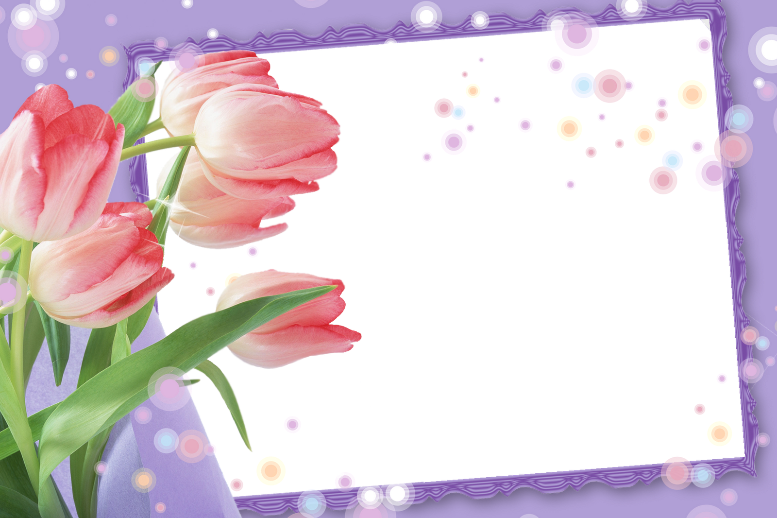 Праздник весны праздник мам. Рамка с весенними цветами. Красивый фон для поздравления. Фон для поздравительной открытки. Фон для открытки с днем рождения.