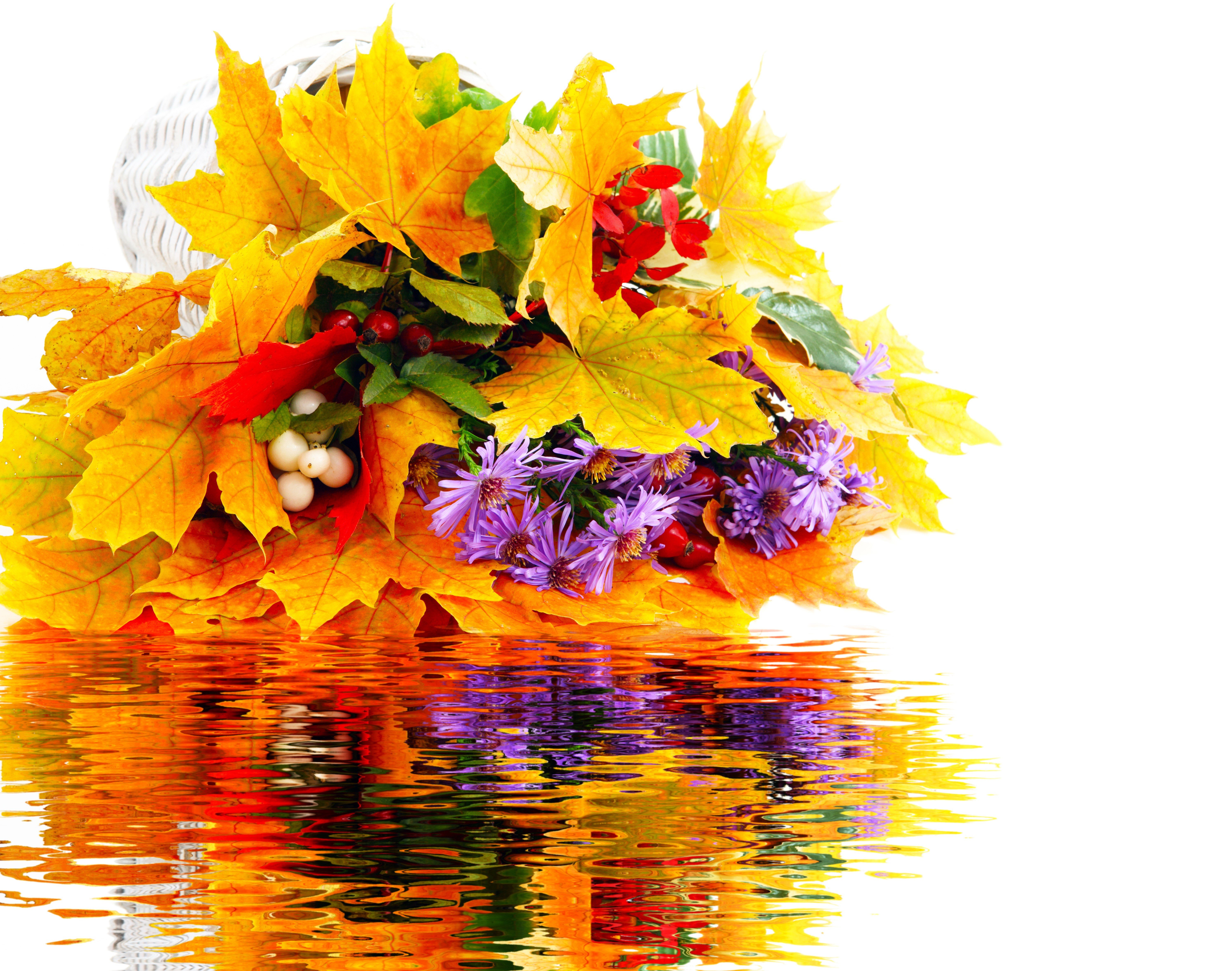 Осенние букеты песни. Осенний букет. Осенние листья букет. Осенние открытки. Красивые цветы осенние листья.
