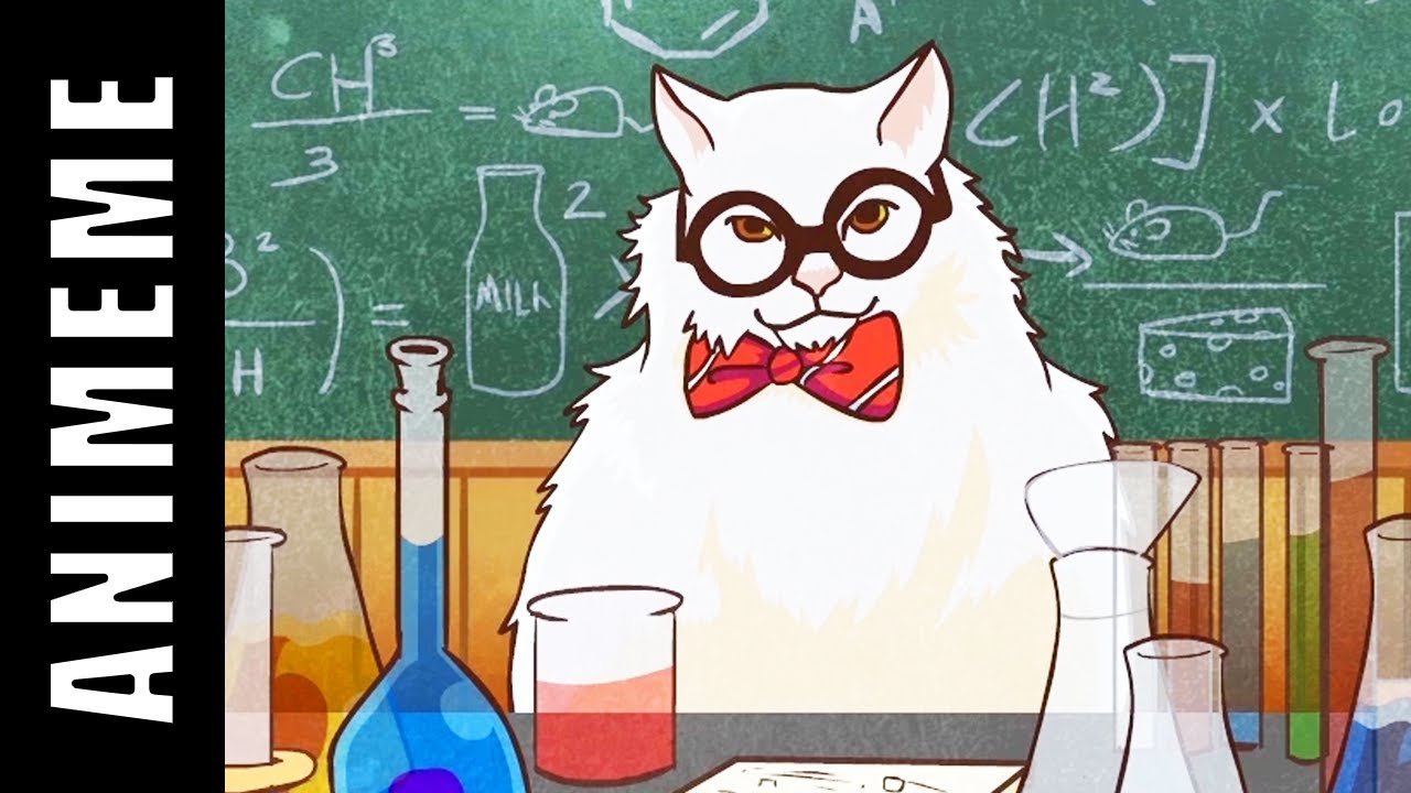 Коты химики