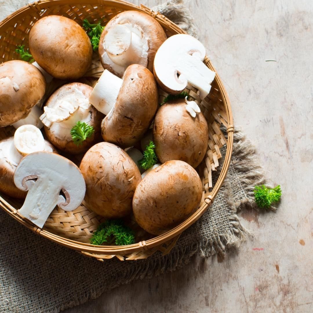 К чему снятся грибы. Грибы белые Portobello. Полезные грибы на 1 фоте. Грибы полезные для сельского хозяйства. Грибы полезные для диабетика.