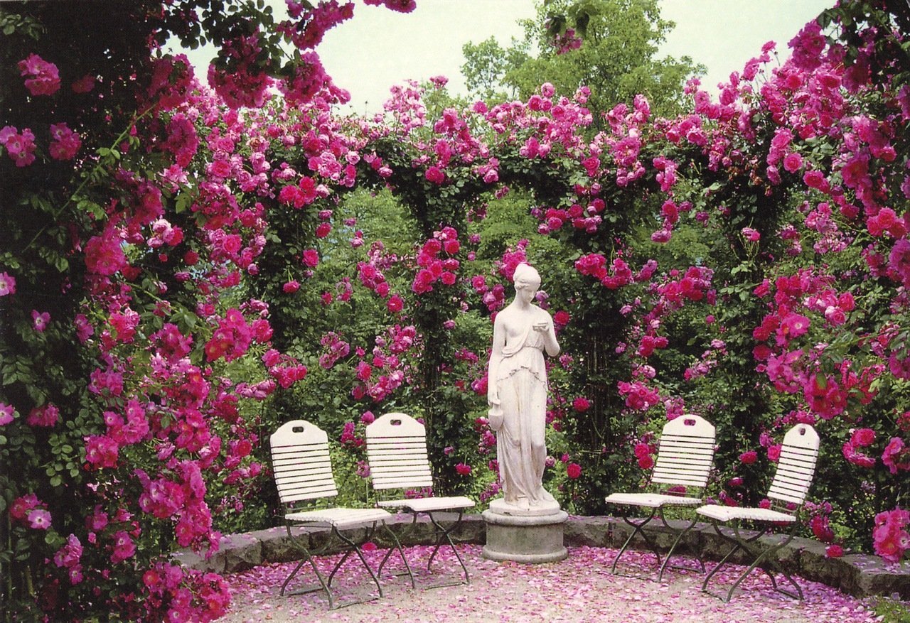 Твой сад розы. Сад Галины Баскаковой роз. Розовый сад Галины Баскаковой. Гюлистан-сад роз. Розарий Галины Баскаковой.