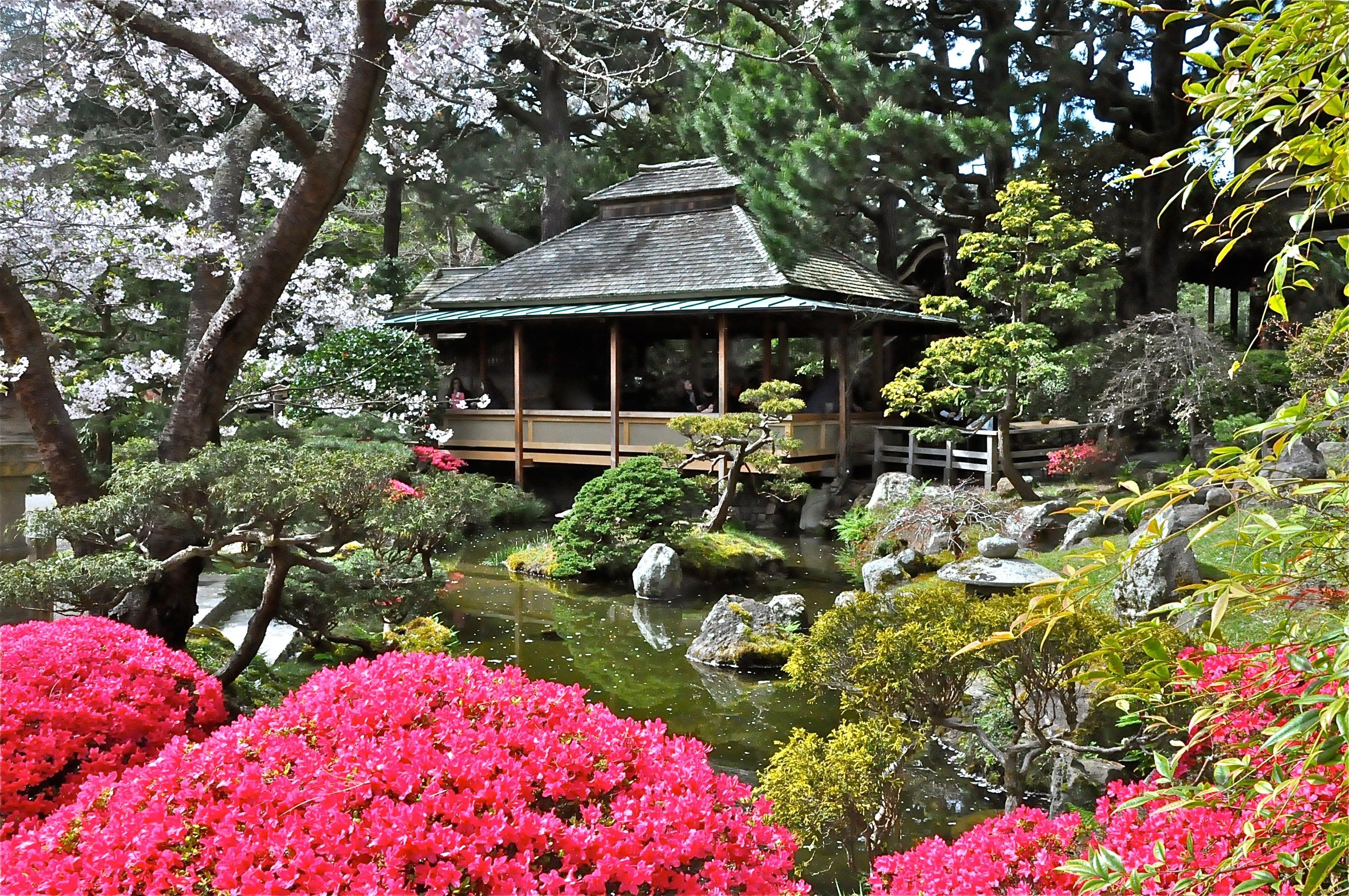 Чайный сад Тянива в Японии