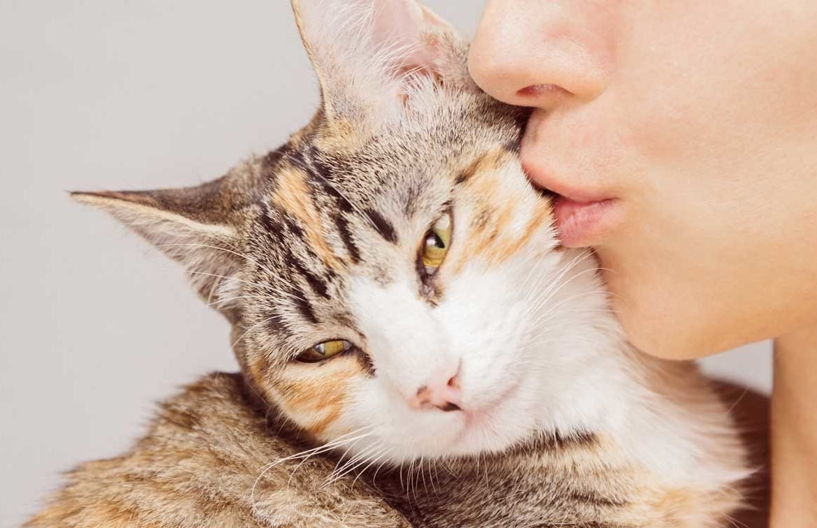 Почему кошка облизывает человека. Кот целует. Человек целует кота. Девушка целует кота. Девушка обнимает кошку.
