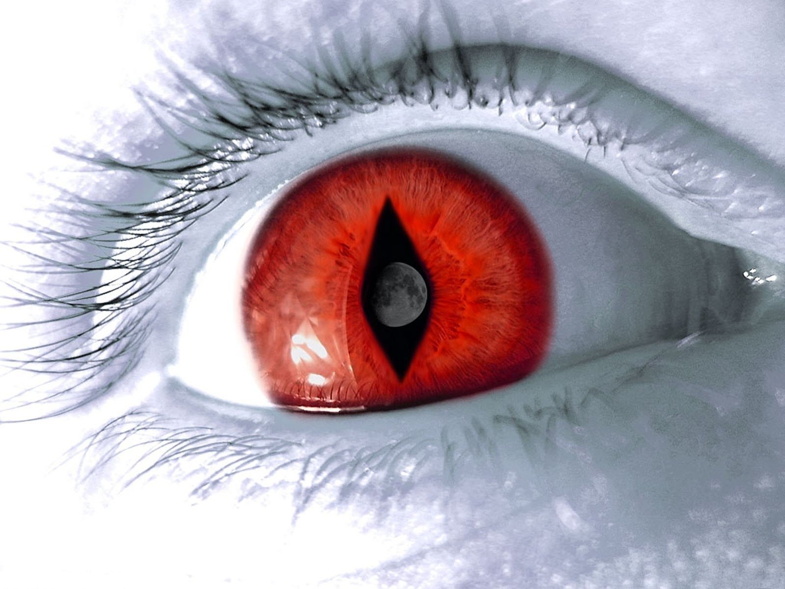 Красные глаза с вертикальным зрачком