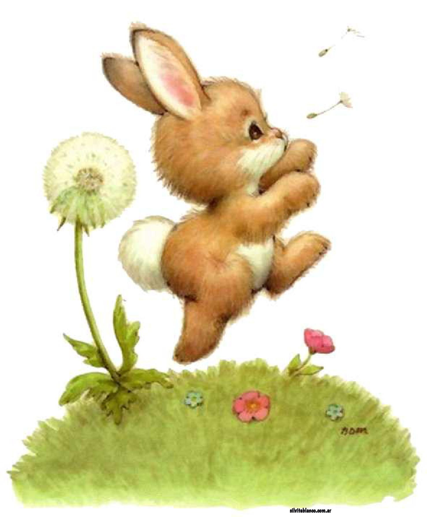 Зайчик зайчата. Зайчик прыгает. Зайки на лужайке. Зайчонок иллюстрация для детей. Заяц для детского сада.