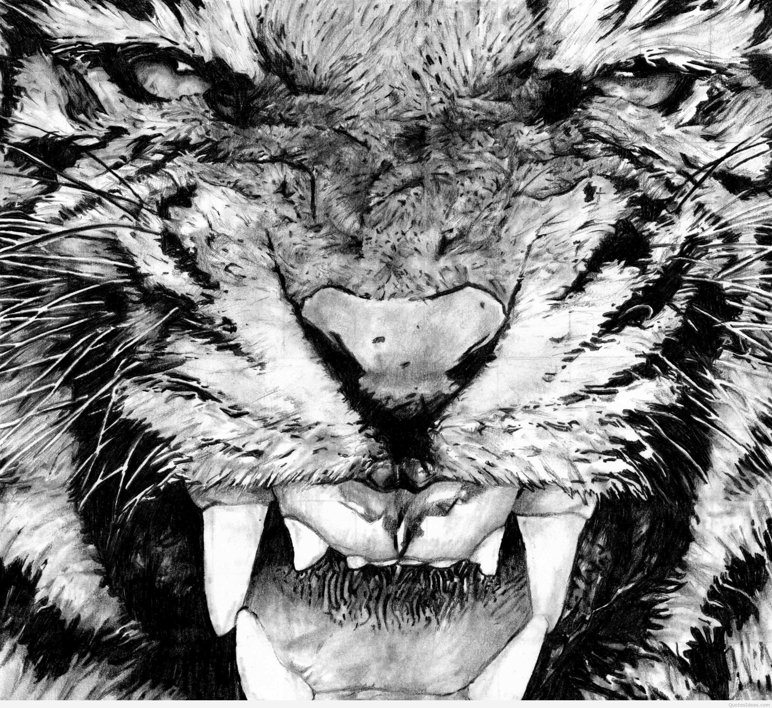 Тигр в злости