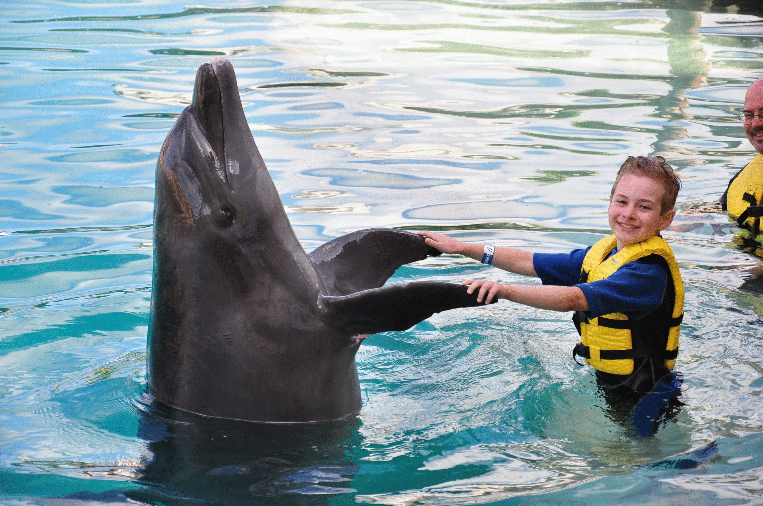 Общение дельфинов между собой. Дельфинотерапия при ДЦП. Дельфинотерапия для детей с ДЦП. Дельфины фото. Дельфины и люди.