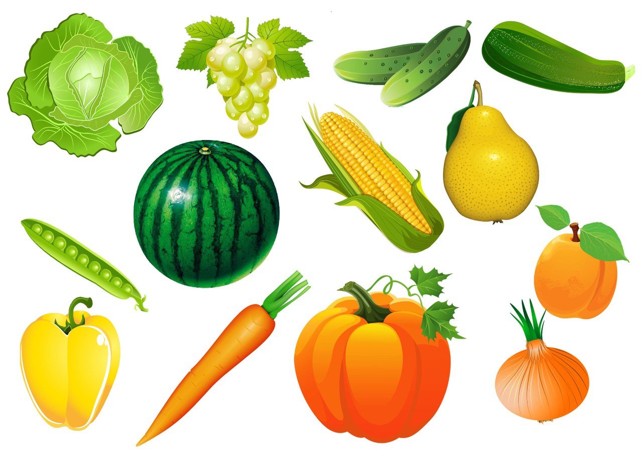 Овощи картинки для детей. Овощи для детей. Овощи для детского сада. Овощи для дошкольников. Овощи и фрукты для детей.