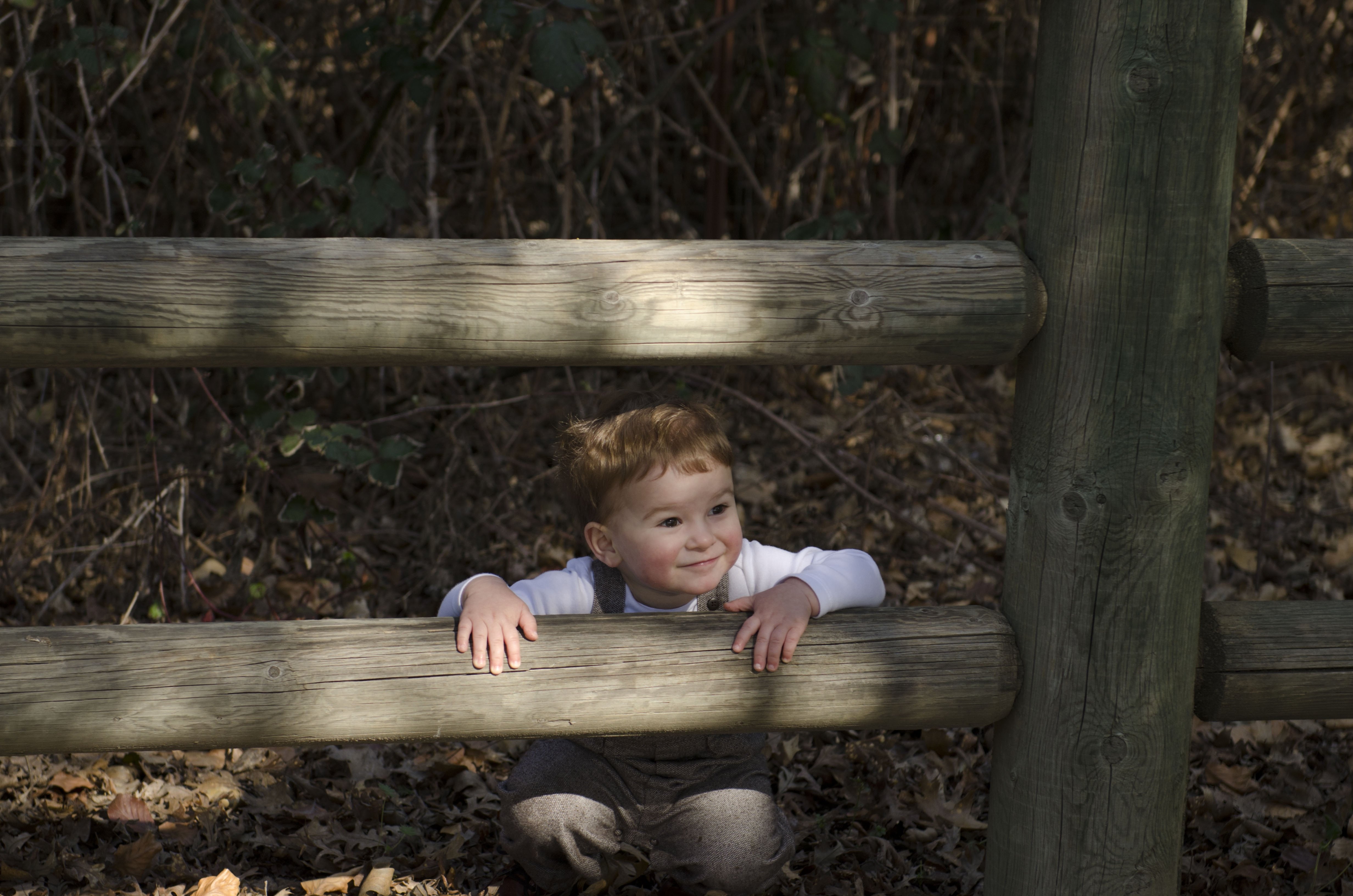 Любопытство сочинение. Забор для детей. Любопытный ребенок. Любопытство младенца. Фотосессия детей на заборе.