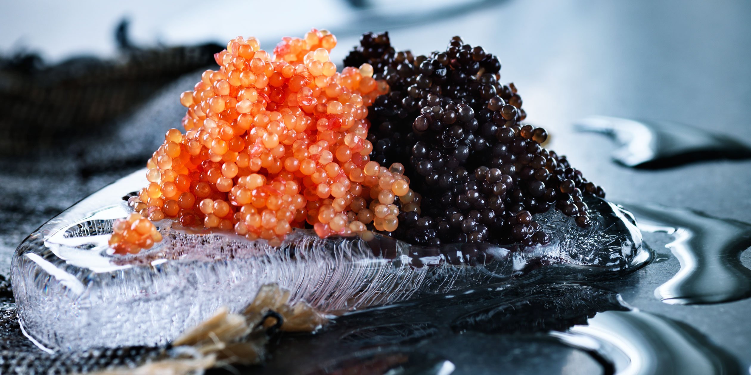 Икорная рыба. Палтус рыба икра. Икра Black Caviar лосося. Икра палтуса красная. Икра палтуса черная и икра осетровая.