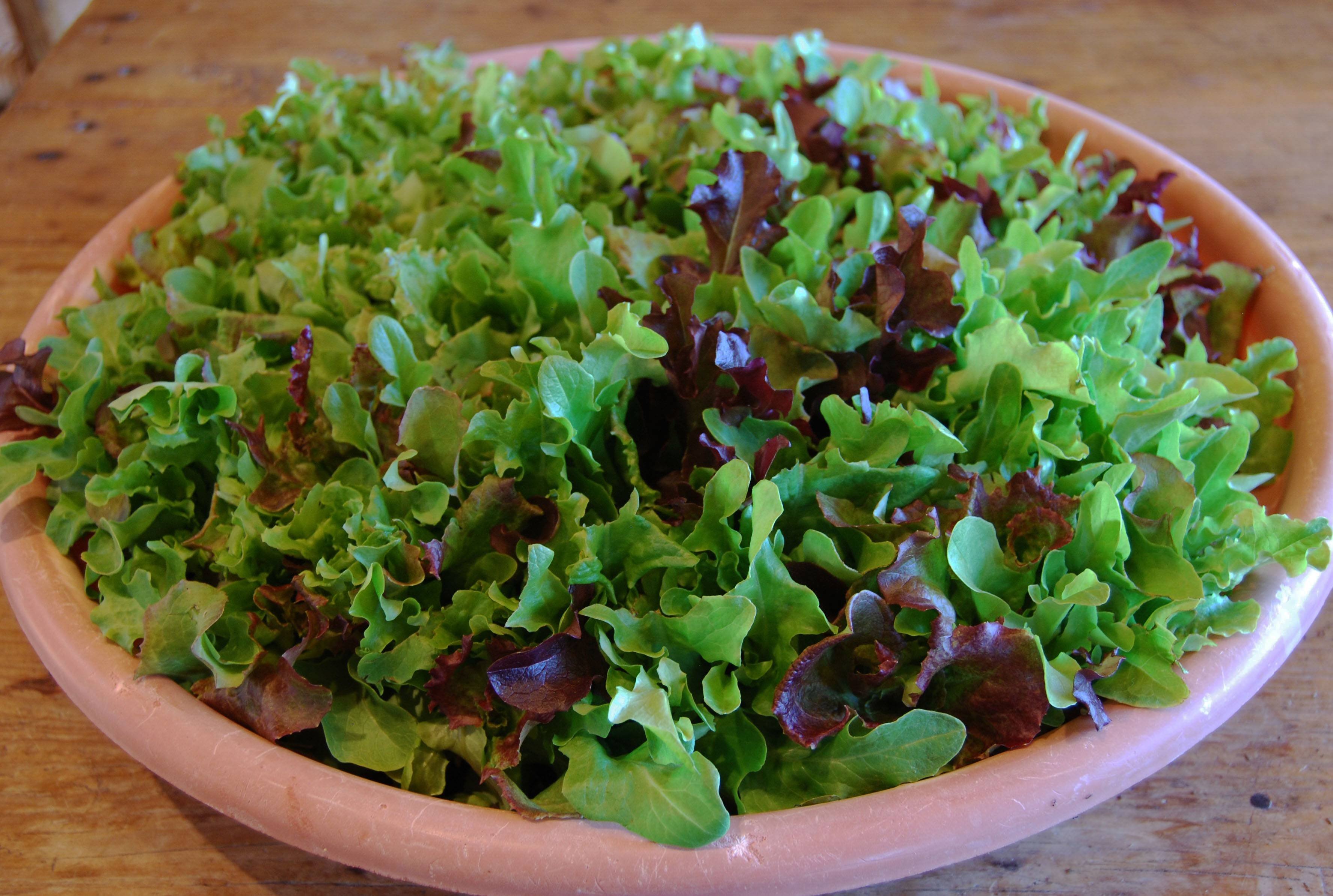 Крест салат рецепты с фото простые и вкусные