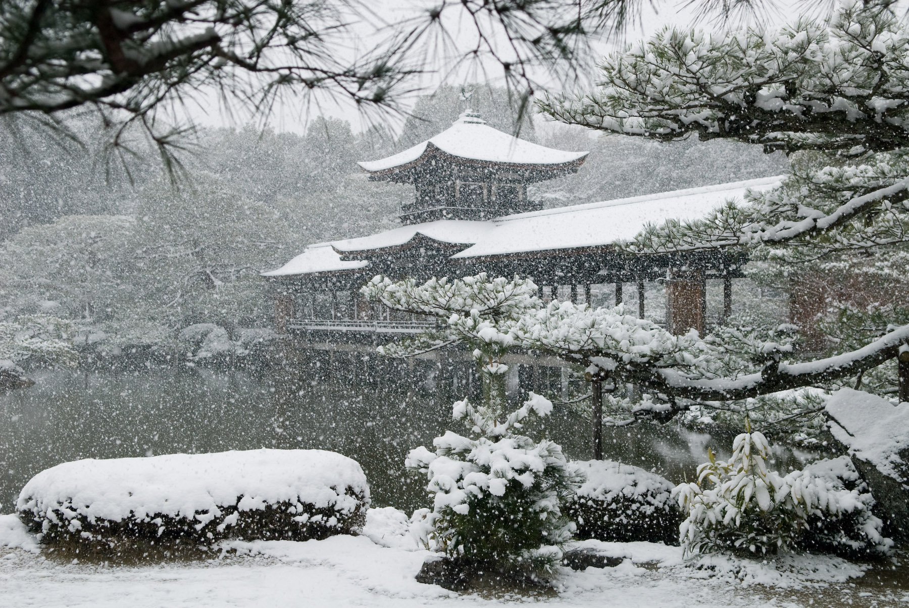 Зима в киото