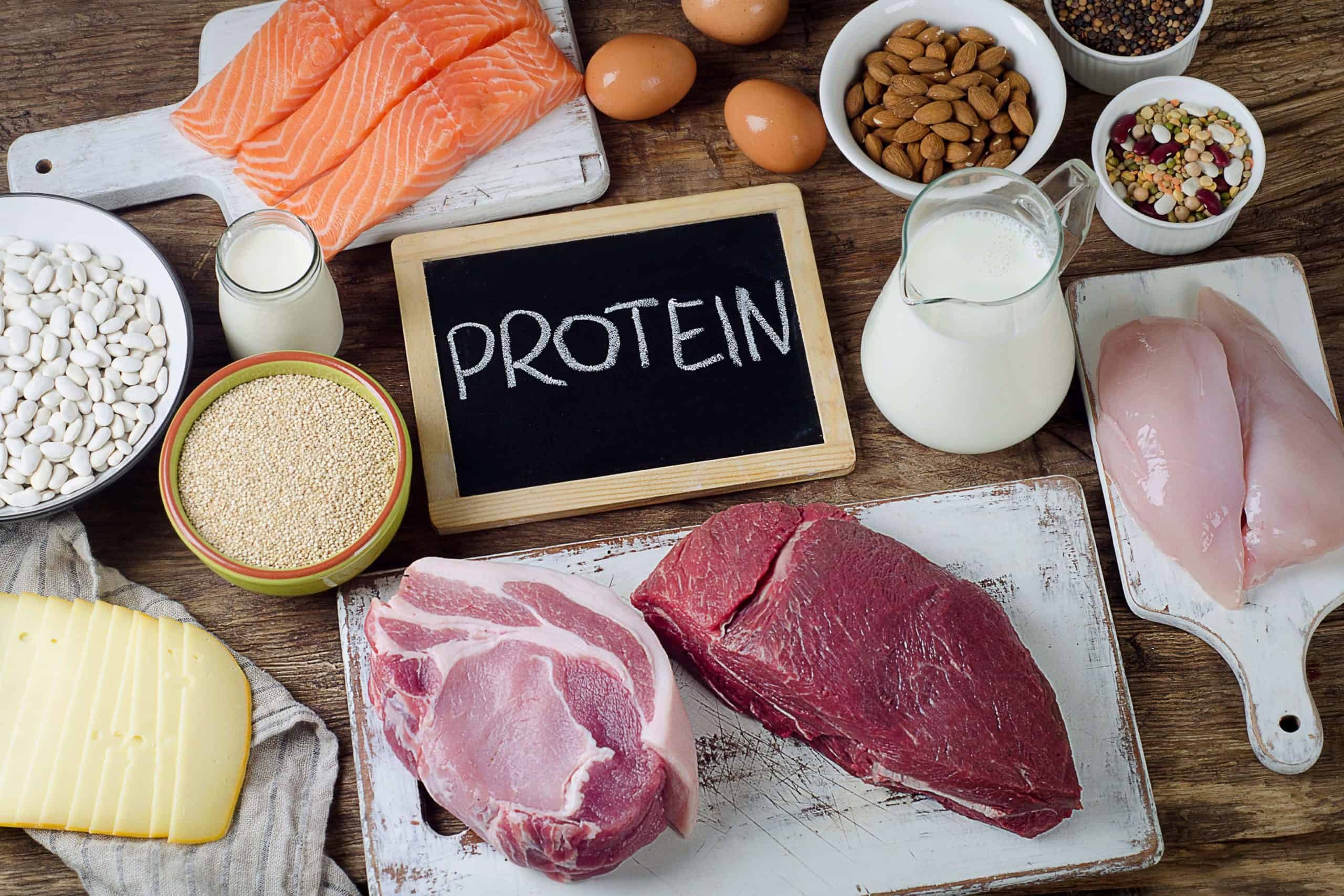 Cuanta proteina comer en definicion