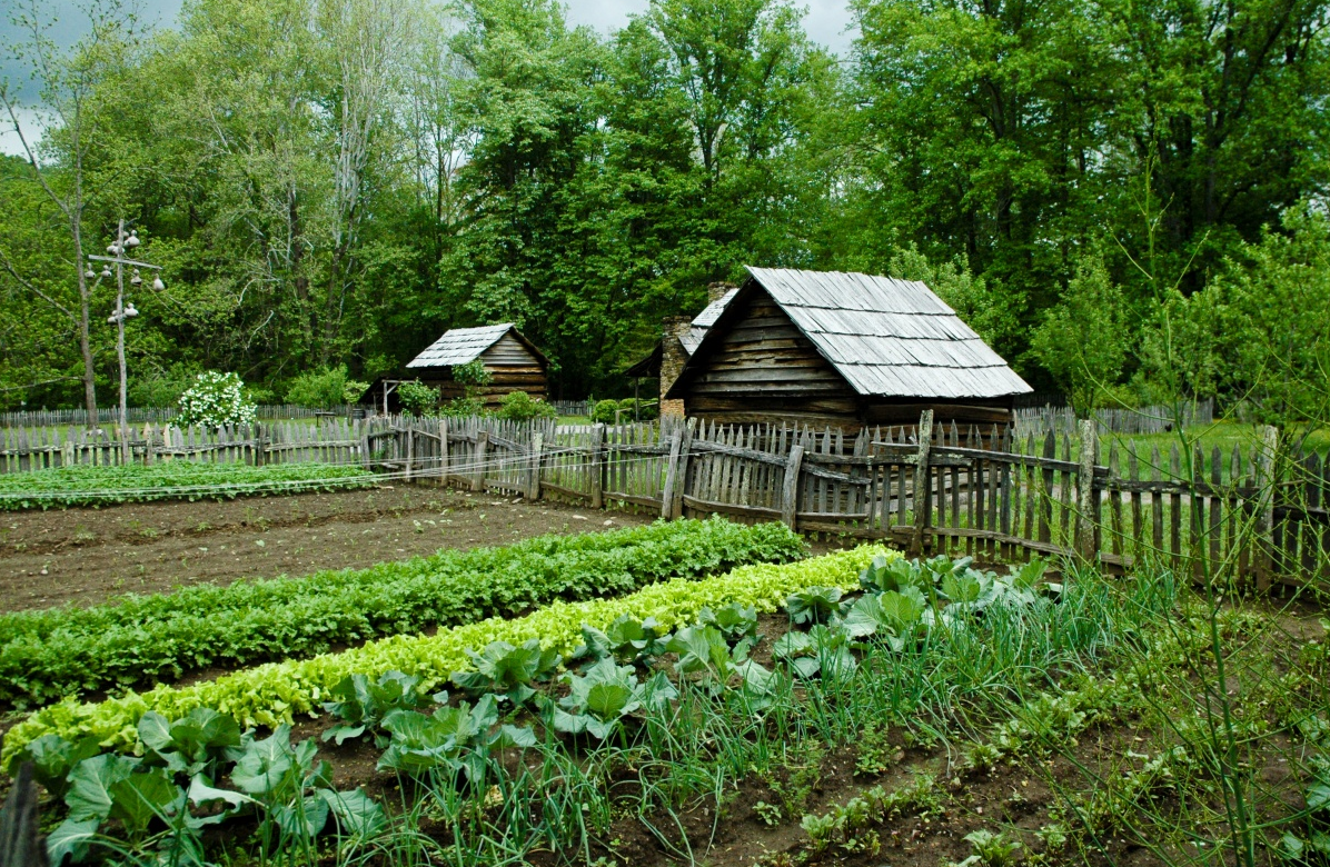 Можно ли сейчас на дачу. Деревенский домик с огородом. Огород на даче. Огород в деревне. Грядки в деревне.
