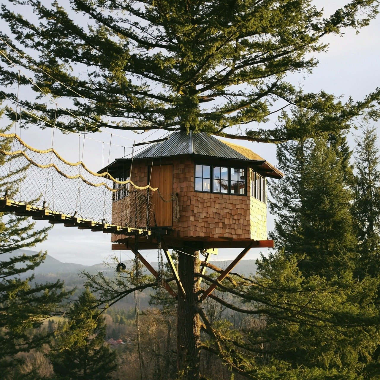 Домик на дереве votv. Фостер Хантингтон дом на дереве. Алникский дом на дереве. Дом на дереве высоко. Необычные дома на деревьях.