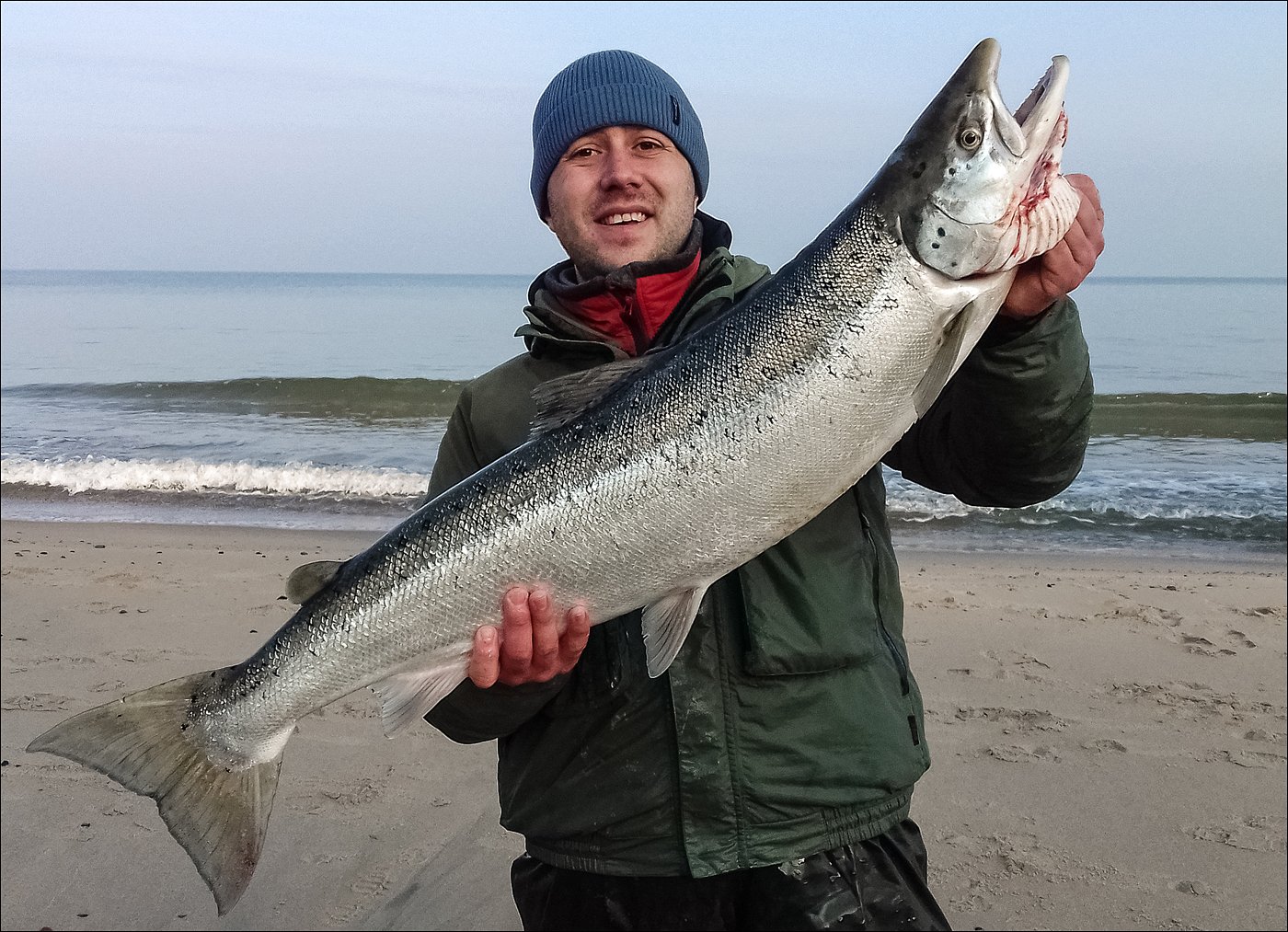 Самая большая рыба в калининградской области. Кумжа Балтийская и лосось. Балтийский лосось Калининград. Балтийская семга. Кумжа 10 кг.