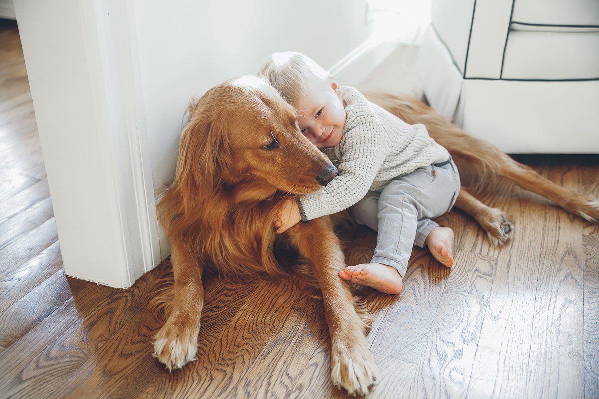 Обнимать собаку. Обнимает собаку. Обнимашки с собакой. Человек обнимает собаку. Ребенок обнимает собаку.