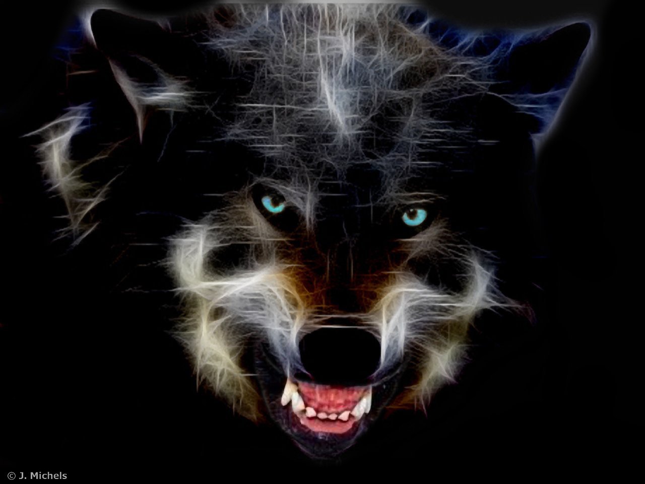 Волк на телефон оскал. Оскал волка. Злой волк. Черный волк. Волк рычит.