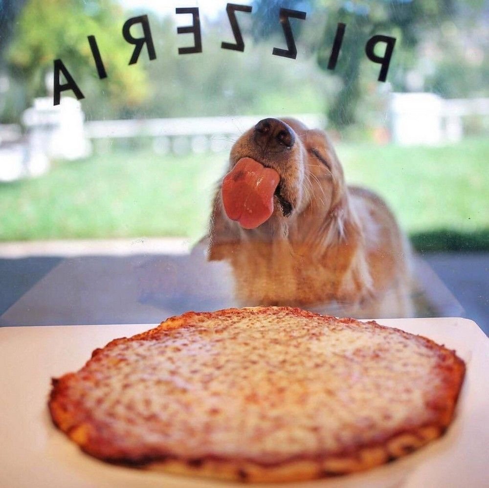 это рецепт для тех кто любит пиццу фото 110
