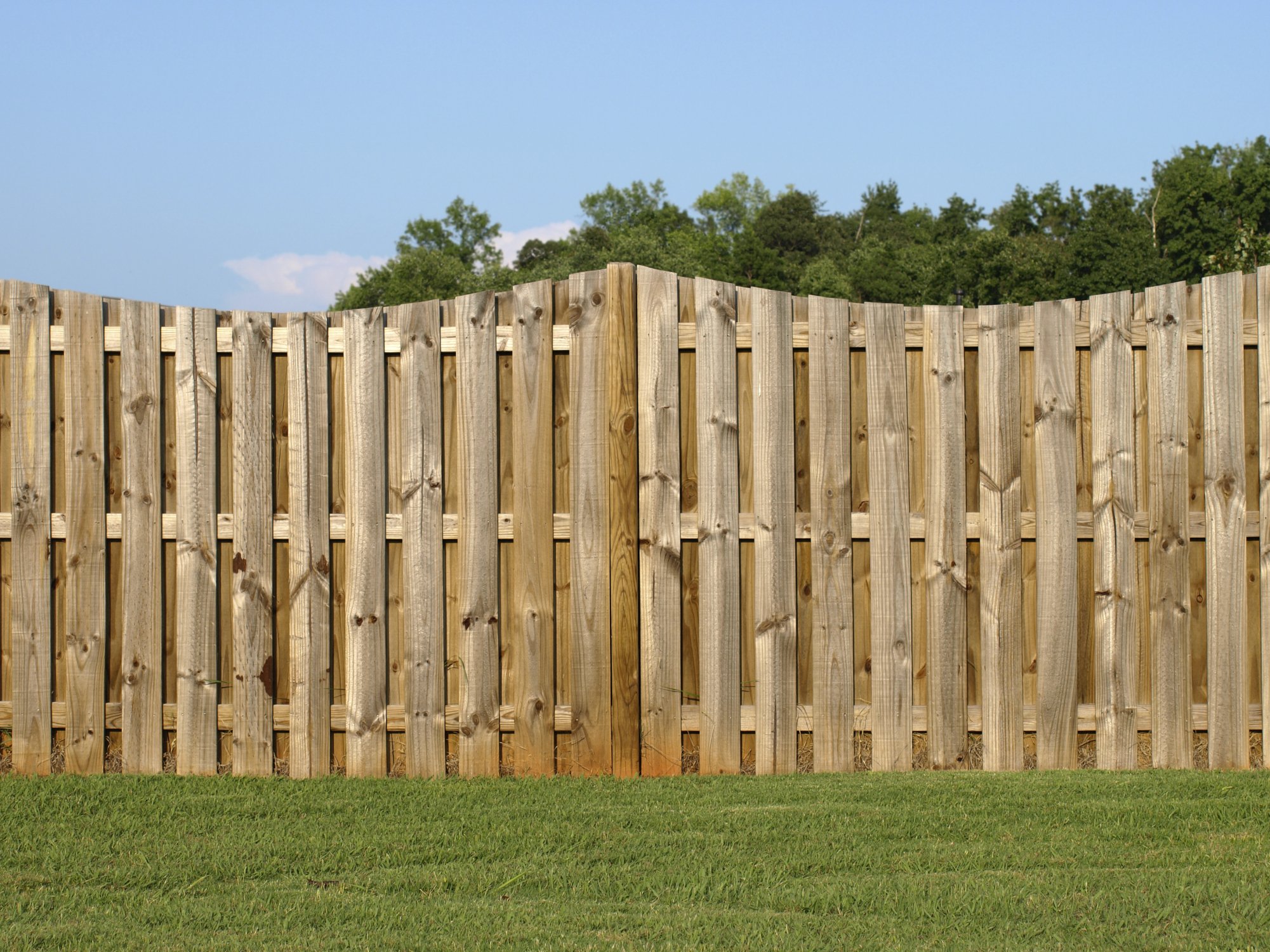 высокий деревянный забор раст фото 110