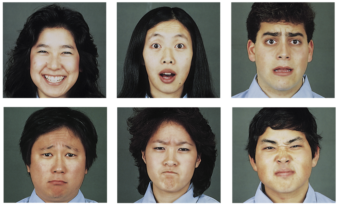 Выражение лица. Различные выражения лица. Эмоции человека. Разные эмоции человека. Отличие азиатов