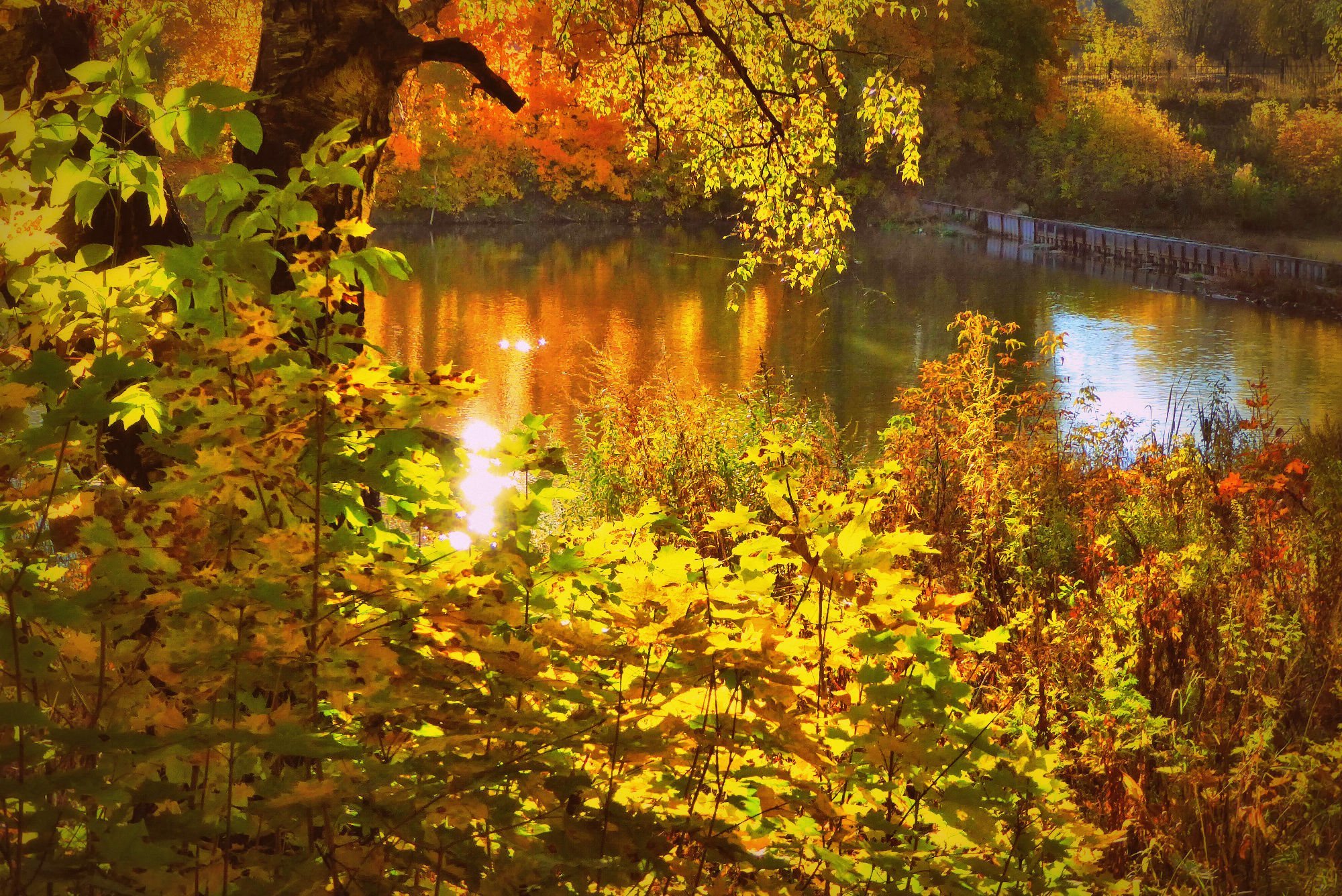 Осеннее утро картинки красивые. Осеннее утро. Утро осенью. Доброе утро осень природа. Хорошего дня природа осень.