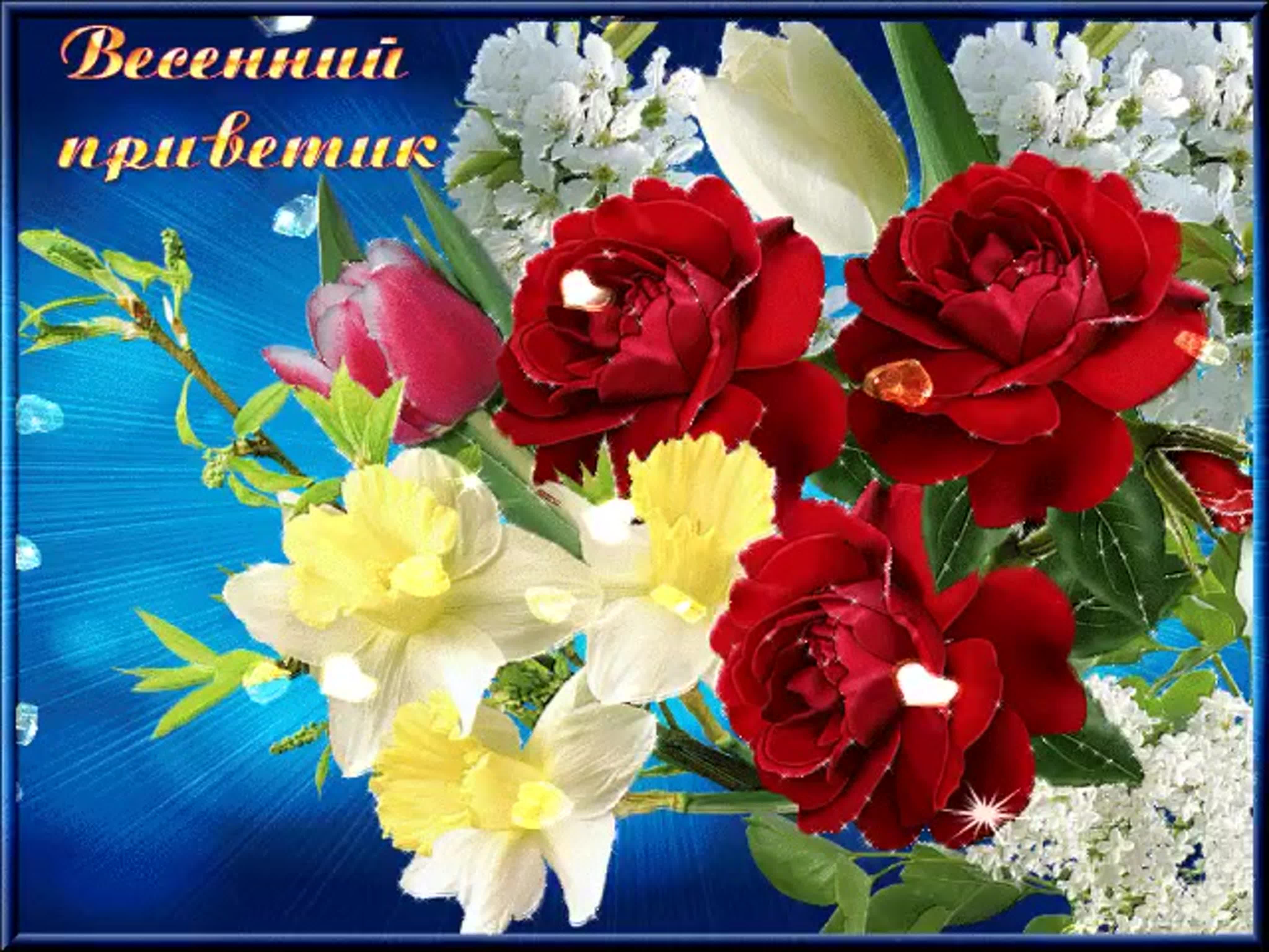 Доброго дня и хорошего настроения мерцающие открытки. Открытки. Открытки с цветами красивые. Приветствие цветы. Весенние цветы с пожеланиями.