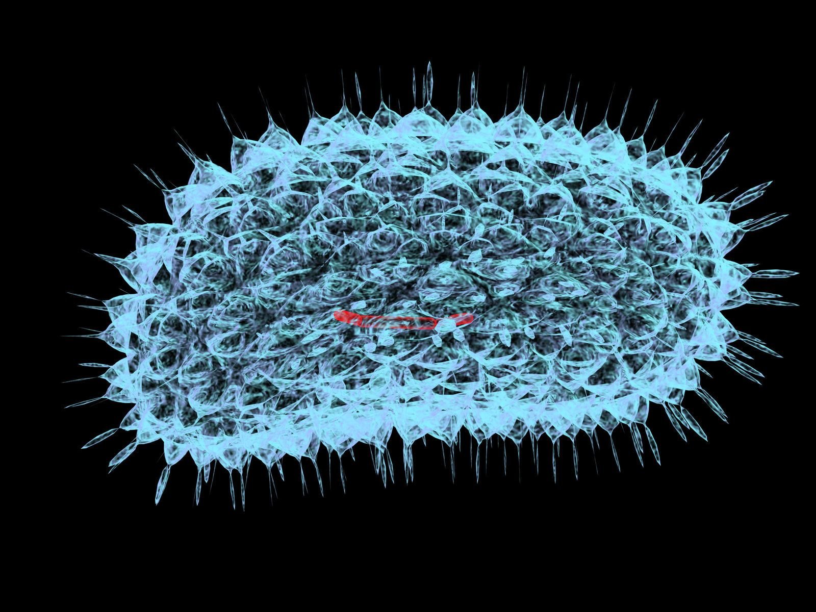 Virus best. Бактерия коронавируса под микроскопом. Микробы бактерии вирусы под микроскопом. Микроб коронавируса под микроскопом. Вирус ковид микробиология.
