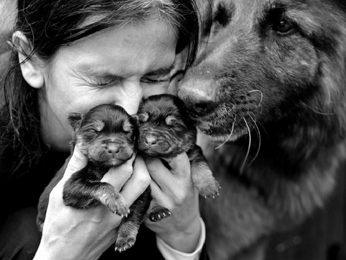 Любовь к животным. Доброта к животным. Любовь жива. Милосердие к животным.