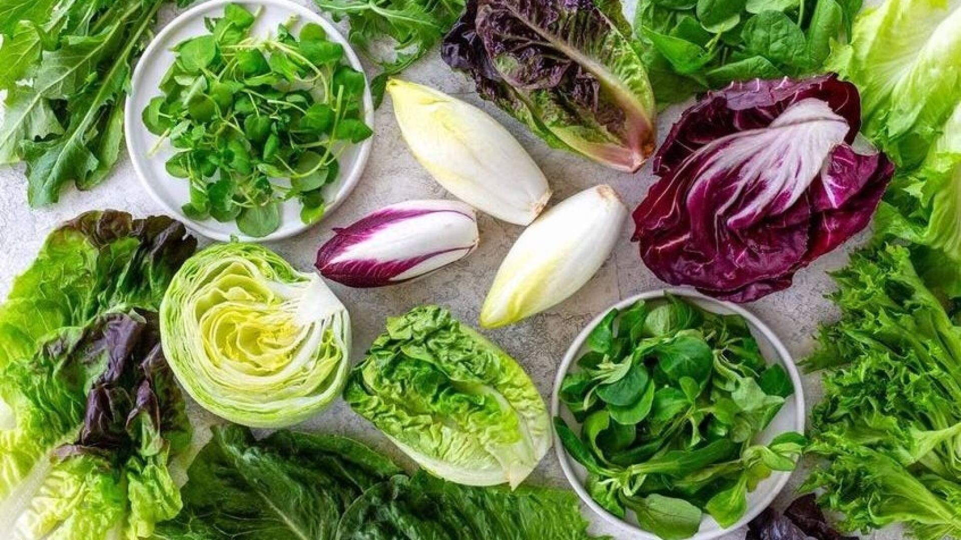 Зелень для салатов