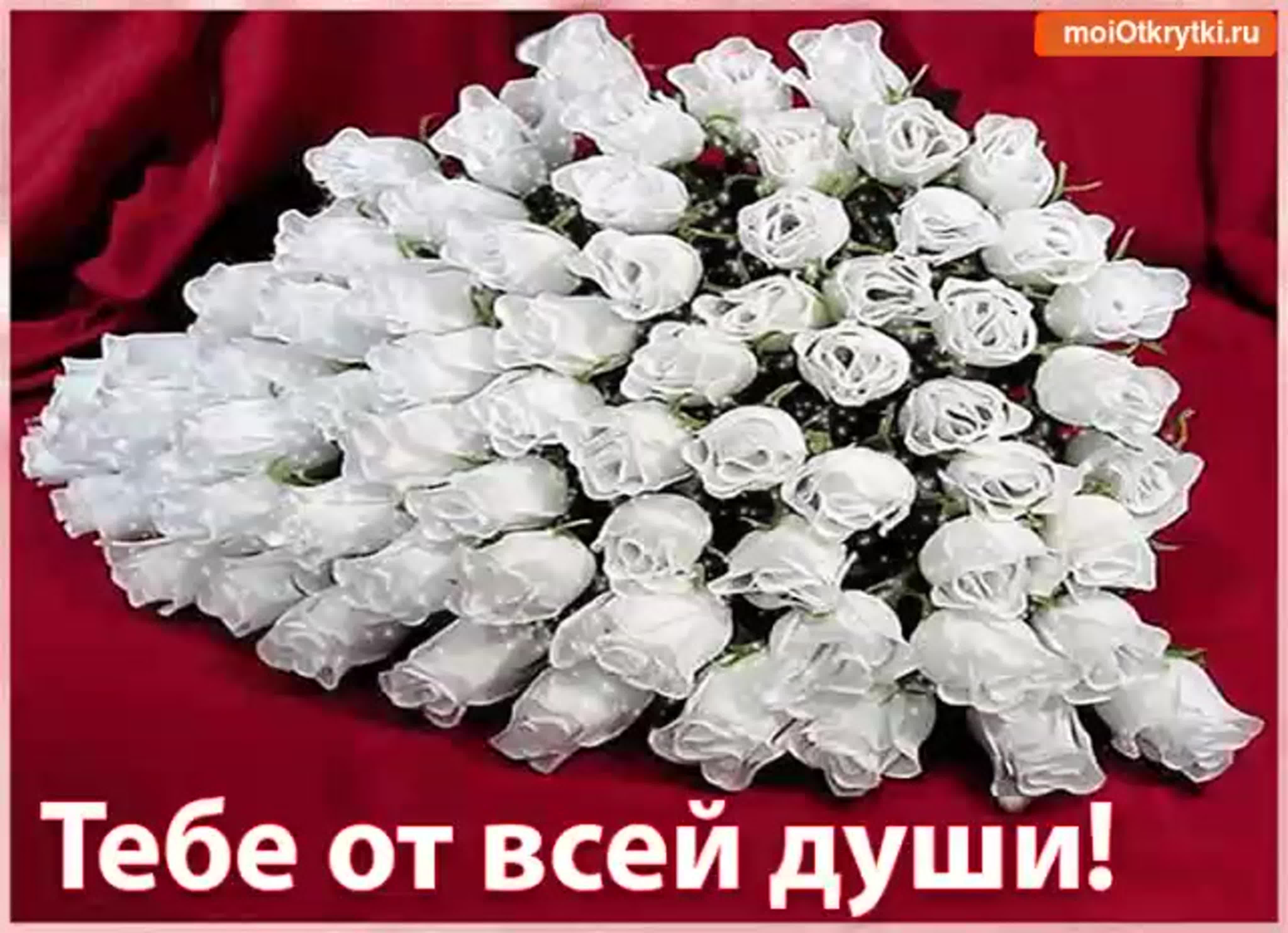 С днём рождения женщине красивые поздравления белые розы