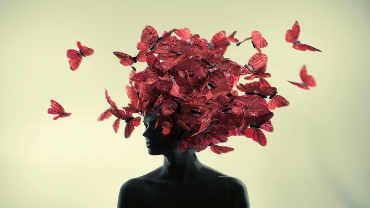Как красиво выражать свои мысли. Цветы на голове. Девушка с бабочками на голове. Мысли в голове. Девушка с цветами в голове.