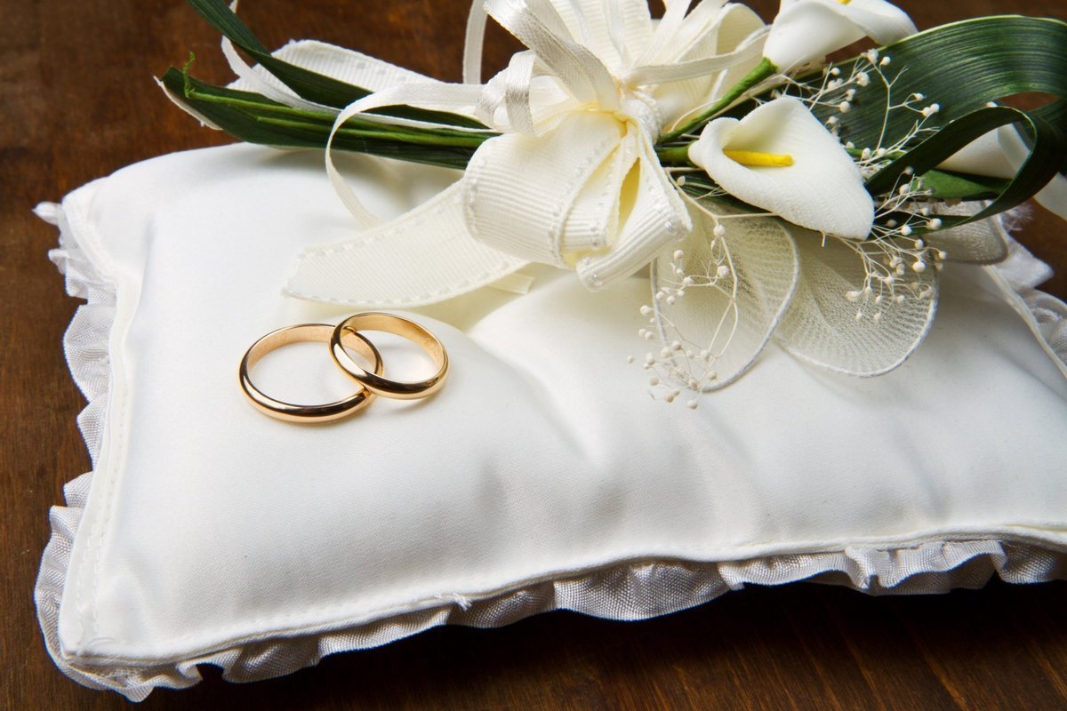 Свадьба картинки. Свадебные кольца. Обручальные кольца на подушечке. Кольца молодоженов. Свадебная тематика.