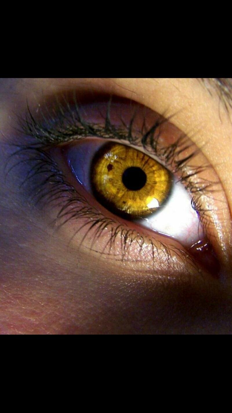 Золотые глаза в реальности