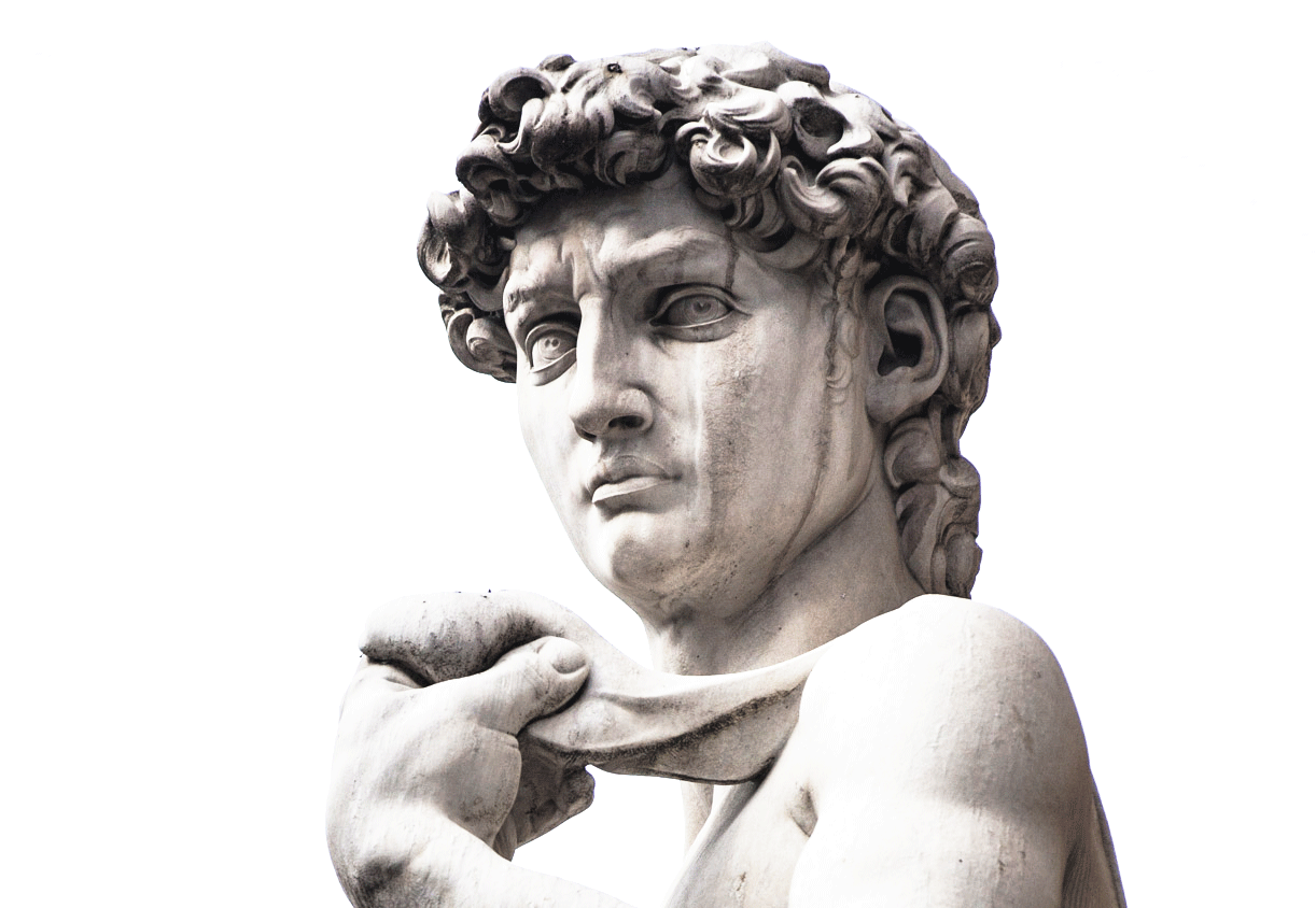 Й вид. Давид Микеланджело скульптура. Давид Микеланджело голова. Статуи древней Греции Давид. Бюст Давида Микеланджело Эстетика.